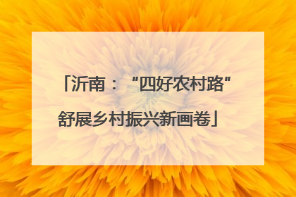 沂南：“四好农村路”舒展乡村振兴新画卷