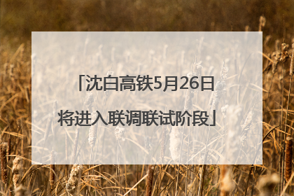 沈白高铁5月26日将进入联调联试阶段