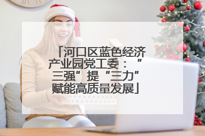 河口区蓝色经济产业园党工委：“三强”提“三力”赋能高质量发展