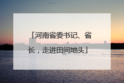 河南省委书记、省长，走进田间地头