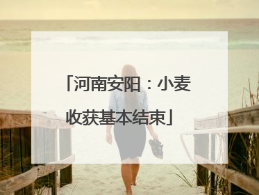 河南安阳：小麦收获基本结束