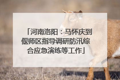 河南洛阳：马怀庆到偃师区指导调研防汛综合应急演练等工作