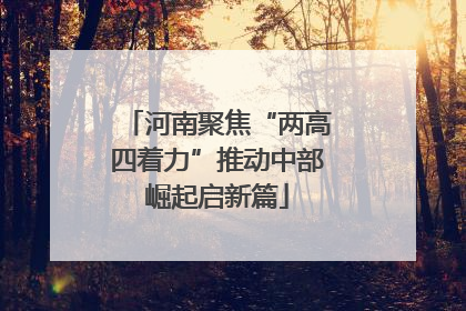 河南聚焦“两高四着力”推动中部崛起启新篇