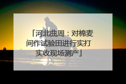 河北曲周：对棉麦间作试验田进行实打实收现场测产