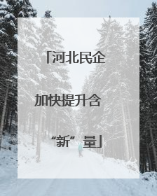 河北民企加快提升含“新”量