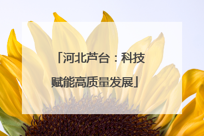 河北芦台：科技赋能高质量发展
