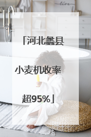 河北蠡县小麦机收率超95%