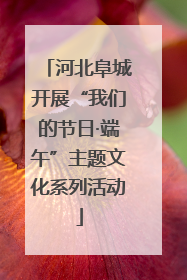 河北阜城开展“我们的节日·端午”主题文化系列活动