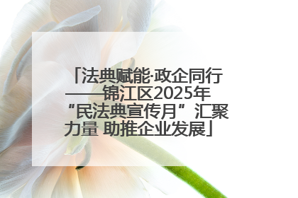 法典赋能·政企同行——锦江区2025年“民法典宣传月”汇聚力量 助推企业发展