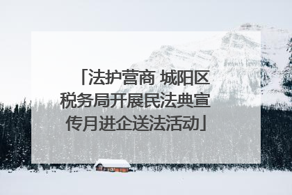 法护营商 城阳区税务局开展民法典宣传月进企送法活动