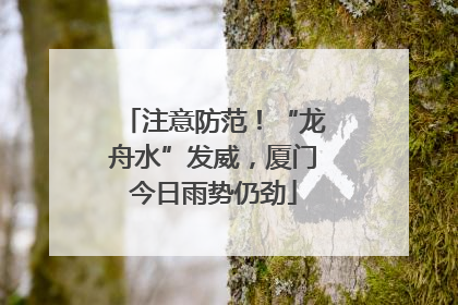 注意防范！“龙舟水”发威，厦门今日雨势仍劲