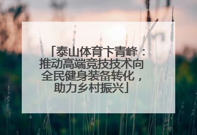泰山体育卞青峰：推动高端竞技技术向全民健身装备转化，助力乡村振兴