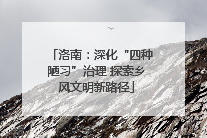 洛南：深化“四种陋习”治理 探索乡风文明新路径