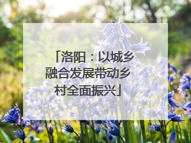 洛阳：以城乡融合发展带动乡村全面振兴