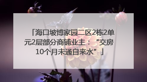 海口坡博家园二区2栋2单元2层部分商铺业主：“交房10个月未通自来水”