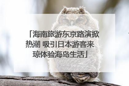 海南旅游东京路演掀热潮 吸引日本游客来琼体验海岛生活