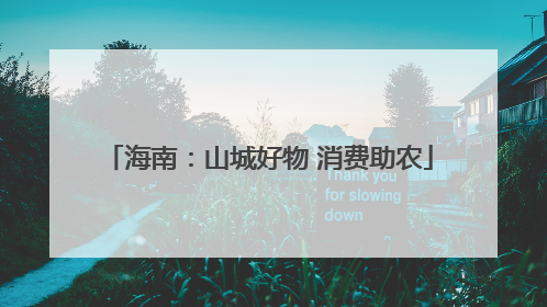 海南：山城好物 消费助农