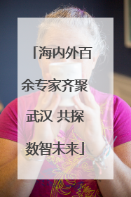 海内外百余专家齐聚武汉 共探数智未来