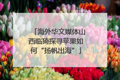 海外华文媒体山西临猗探寻苹果如何“扬帆出海”