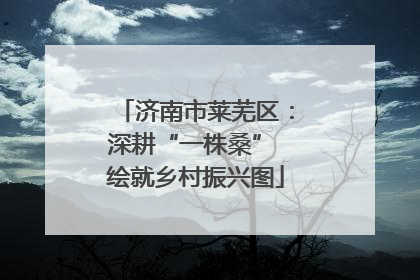 济南市莱芜区：深耕“一株桑” 绘就乡村振兴图
