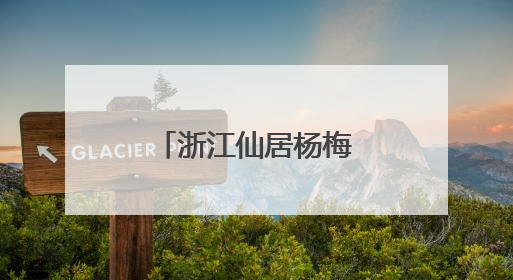 浙江仙居杨梅抢鲜上市 小水果闯出大产业