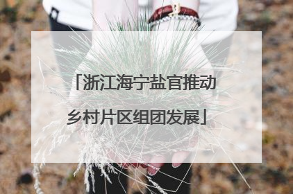 浙江海宁盐官推动乡村片区组团发展