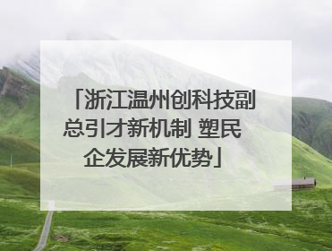 浙江温州创科技副总引才新机制 塑民企发展新优势