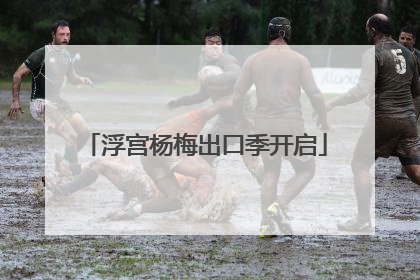 浮宫杨梅出口季开启