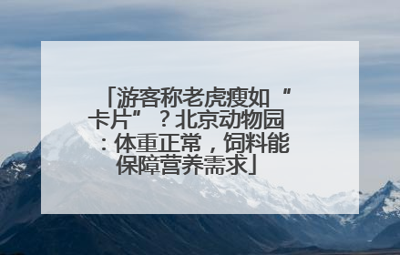 游客称老虎瘦如“卡片”？北京动物园：体重正常，饲料能保障营养需求