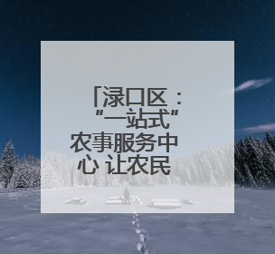 渌口区：“一站式”农事服务中心 让农民种地“不操心”