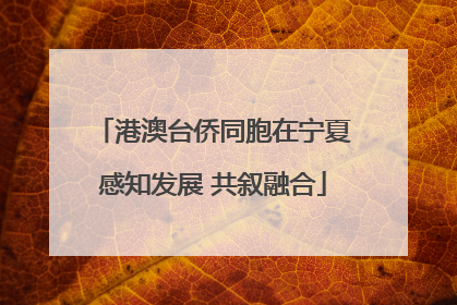 港澳台侨同胞在宁夏感知发展 共叙融合
