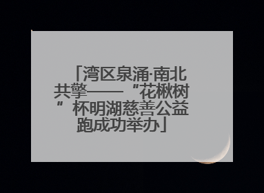 湾区泉涌·南北共擎——“花楸树”杯明湖慈善公益跑成功举办