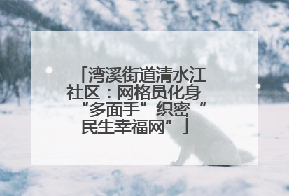 湾溪街道清水江社区：网格员化身“多面手”织密“民生幸福网”