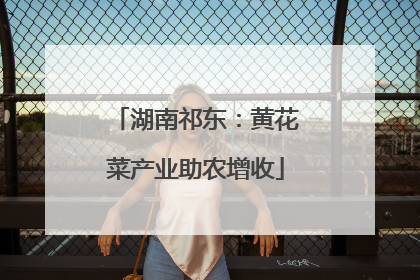 湖南祁东：黄花菜产业助农增收