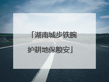 湖南城步铁腕护耕地保粮安