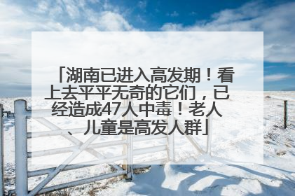 湖南已进入高发期！看上去平平无奇的它们，已经造成47人中毒！老人、儿童是高发人群