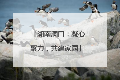 湖南洞口：凝心聚力，共建家园