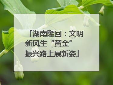 湖南隆回：文明新风生“黄金” 振兴路上展新姿