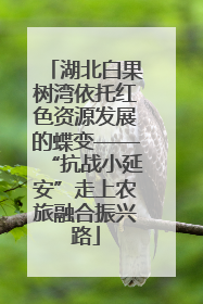 湖北白果树湾依托红色资源发展的蝶变——“抗战小延安”走上农旅融合振兴路