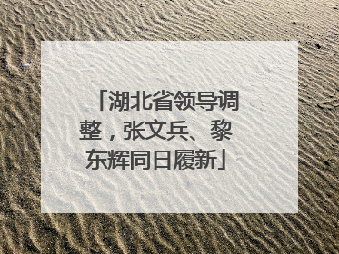 湖北省领导调整，张文兵、黎东辉同日履新