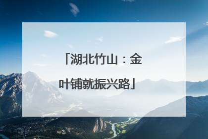 湖北竹山：金叶铺就振兴路