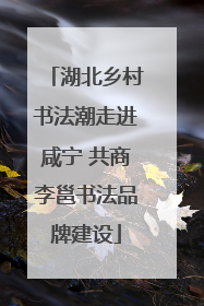 湖北乡村书法潮走进咸宁 共商李邕书法品牌建设