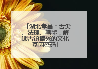 湖北孝昌：舌尖、法理、笔墨，解锁古镇振兴的文化基因密码