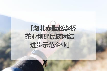 湖北赤壁赵李桥茶业创建民族团结进步示范企业