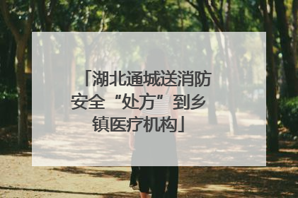 湖北通城送消防安全“处方”到乡镇医疗机构