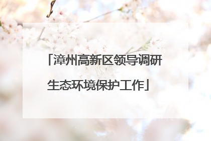 漳州高新区领导调研生态环境保护工作