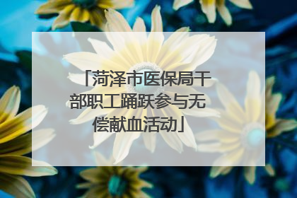 菏泽市医保局干部职工踊跃参与无偿献血活动