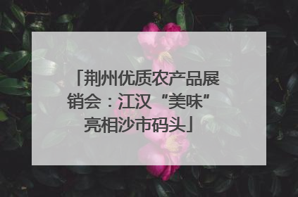 荆州优质农产品展销会：江汉“美味”亮相沙市码头