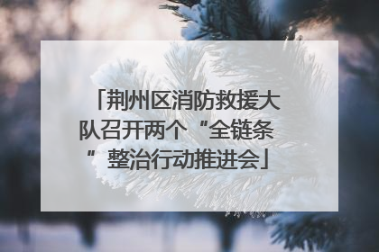 荆州区消防救援大队召开两个“全链条”整治行动推进会