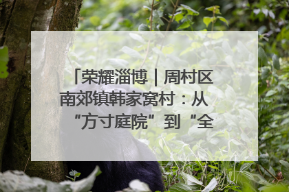 荣耀淄博｜周村区南郊镇韩家窝村：从“方寸庭院”到“全域文明”，乡村振兴的“美学革命”